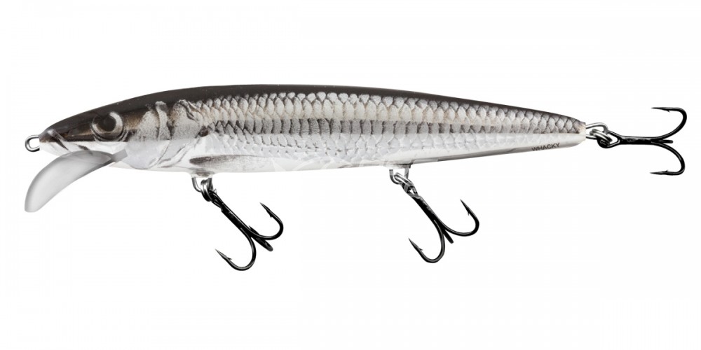 Wobler Salmo WHACKY BMB 15cm Floating